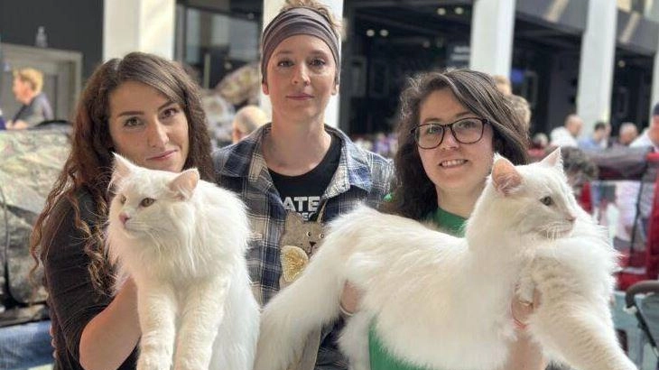 A Bolzano hanno sfilato i gatti più belli del mondo: due gatti Norvegesi delle Foreste, Poldo e Maglor, primo e secondo