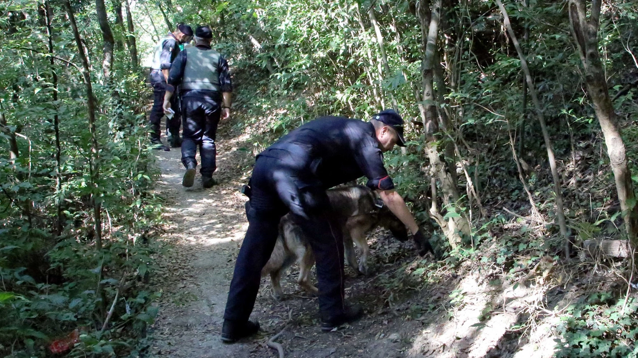 Carabinieri impegnati in un'attività di controllo nei boschi della droga Carabinieri impegnati in un'attività di controllo nei boschi della droga