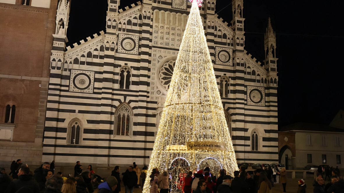Nel centro storico il battesimo delle iniziative allestite fino all’Epifania. Fra Duomo, largo Mazzini, San Pietro Martire e Arengario 4 alberi alti 12 metri. la pista di ghiaccio e intrattenimento musicale con la banda e il coro Gospel. Nel centro storico il battesimo delle iniziative allestite fino all’Epifania. Fra Duomo, largo Mazzini, San Pietro Martire e Arengario 4 alberi alti 12 metri. la pista di ghiaccio e intrattenimento musicale con la banda e il coro Gospel.