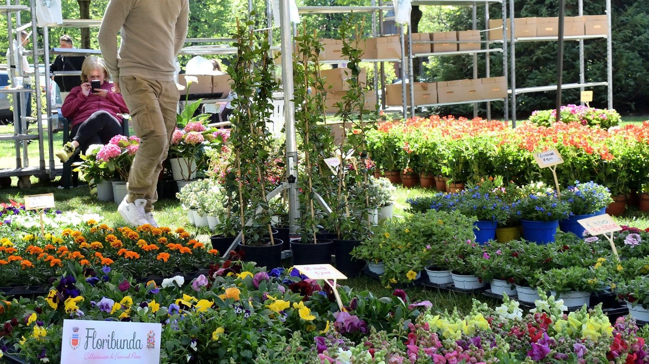 Tutto è pronto, sperando in un tempo mite, per il tradizionale evento pasquale dell’Antica Fiera di Sant’Angelo e per...