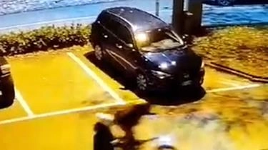 Le immagini delle videocamere Le immagini delle videocamere