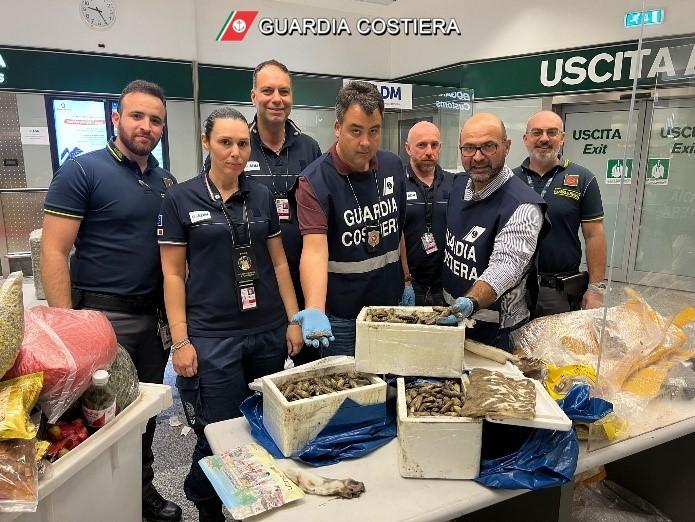 malpensa sequestrati 650 chili di specie ittiche aliene tra i bagagli dei passeggeri