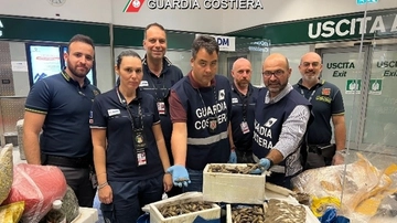 Malpensa, sequestrati 650 chili di specie ittiche aliene tra i bagagli dei passeggeri
