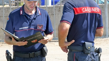 Bosco raso al suolo, due agricoltori nei guai