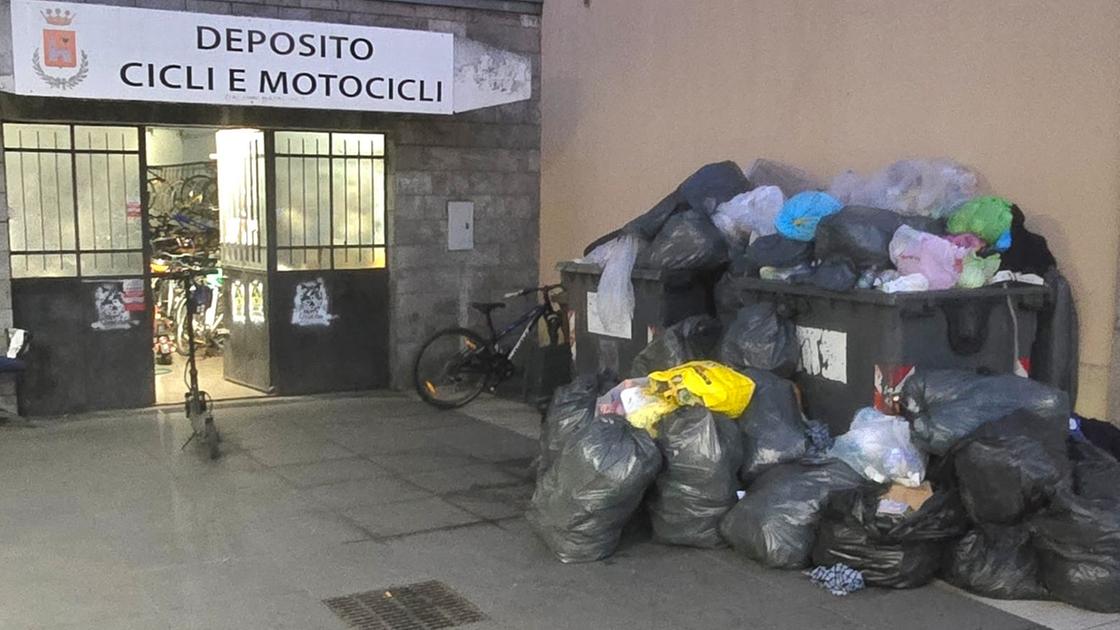 Vigevano, il biglietto da visita della vergogna: “Rifiuti, miasmi e topi in stazione: siamo oltre i limiti della decenza” Vigevano, il biglietto da visita della vergogna: “Rifiuti, miasmi e topi in stazione: siamo oltre i limiti della decenza”