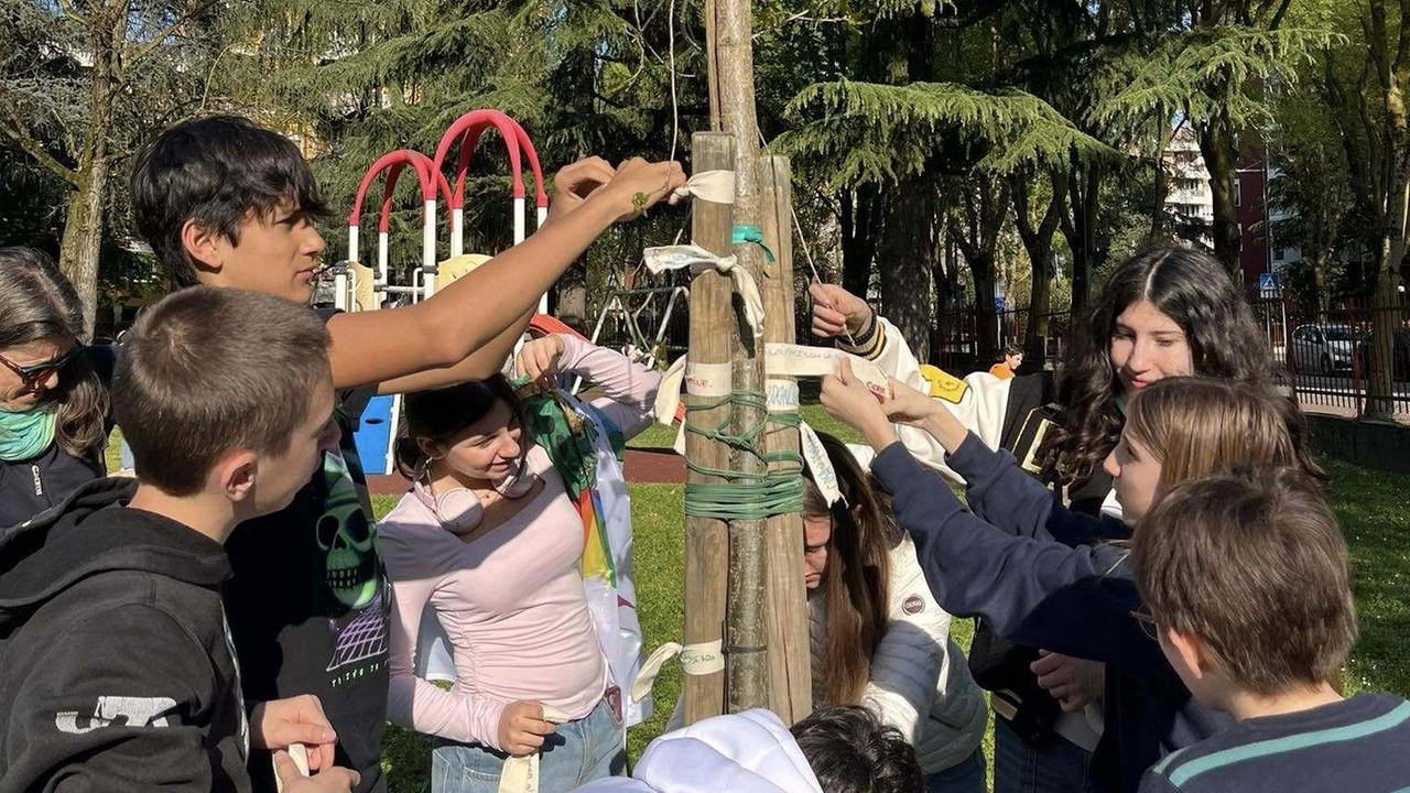 Gli studenti piantano la quercia della pace. L’albero crescerà con loro, il progetto del Consiglio comunale dei ragazzi a...