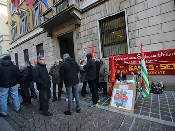 immagine articolo