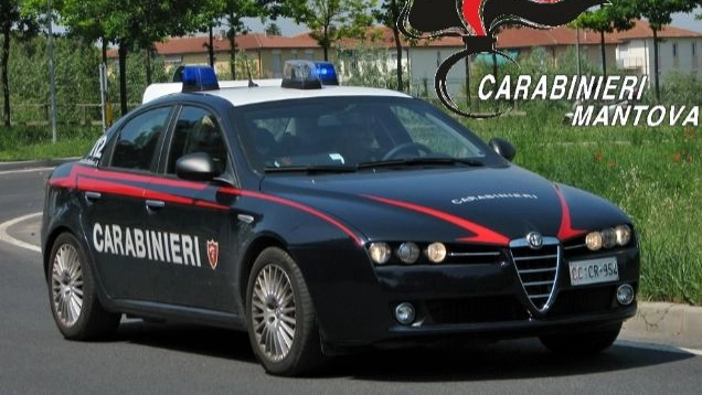 I carabinieri di Mantova hanno effettuato un controllo straordinario di tutto il territorio provinciale I carabinieri di Mantova hanno effettuato un controllo straordinario di tutto il territorio provinciale