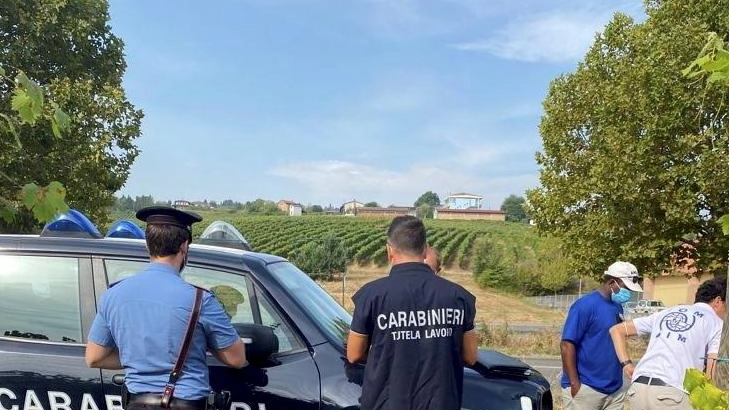 I controlli nelle attività agricole sono stati avviati dal mese di agosto I controlli nelle attività agricole sono stati avviati dal mese di agosto