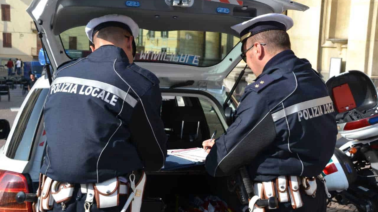 Le carcasse rinvenute dagli agenti di polizia locale