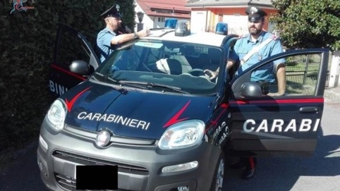 Intervenuti i carabinieri di Lomazzo