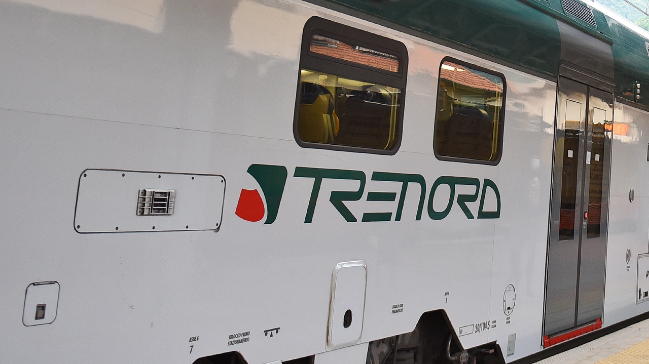 Un treno Trenord