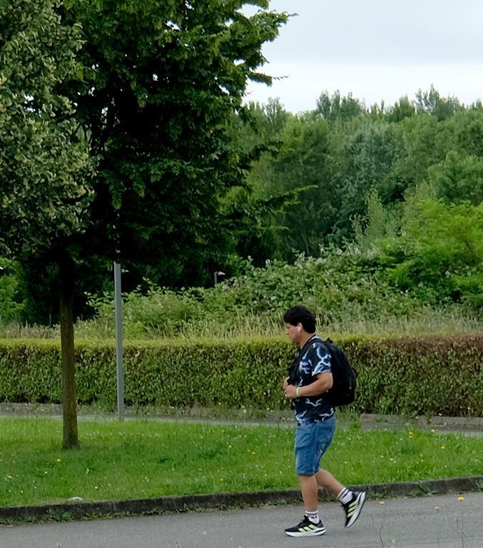 Polo istituzionale, 28mila firme per difendere il bosco Polo istituzionale, 28mila firme per difendere il bosco