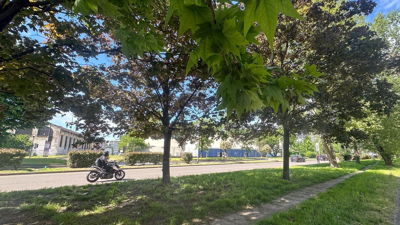 Via Palmanova a Milano, alla periferia nord est della città