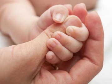 immagine articolo