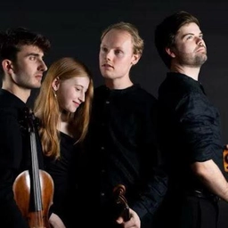 La magia del Fibonacci Quartet: "I colori forti e la ribellione del ’900"