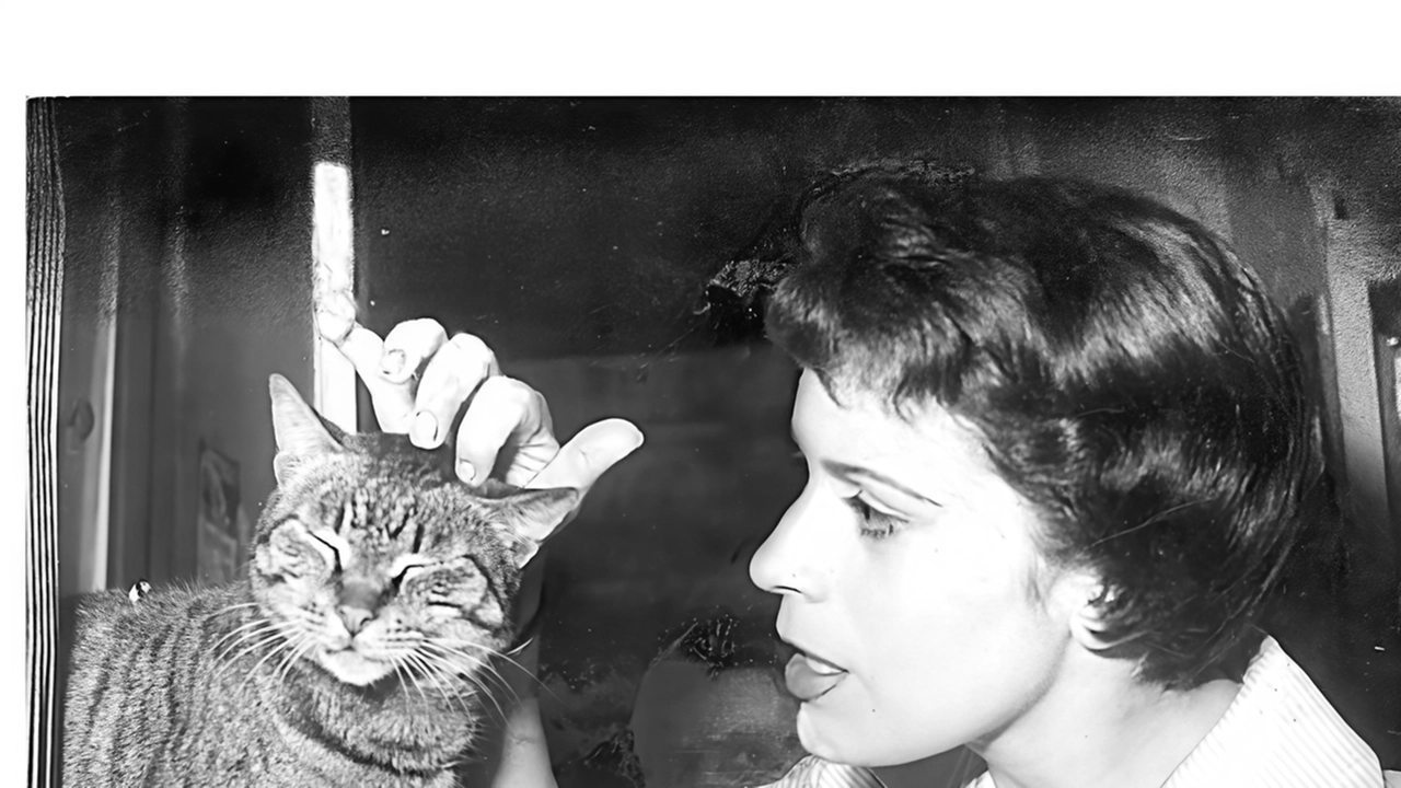 Franca Valeri, attrice, autrice teatrale e regista, morta nel 2020 a cent’anni Franca Valeri, attrice, autrice teatrale e regista, morta nel 2020 a cent’anni