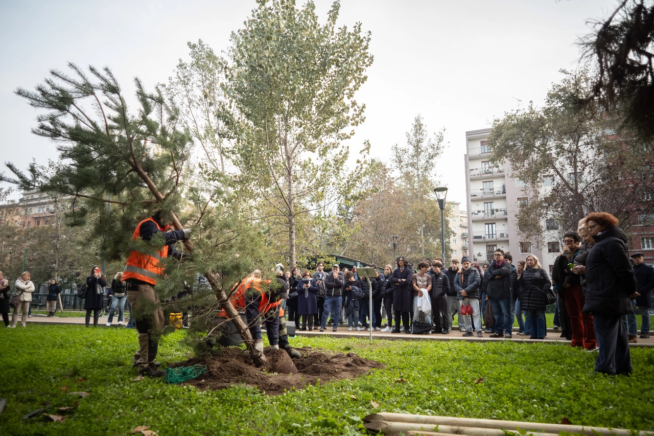 La piantumazione del primo albero in memoria di Luca Marengoni (Canella)