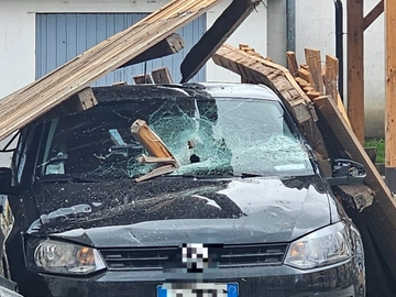immagine articolo