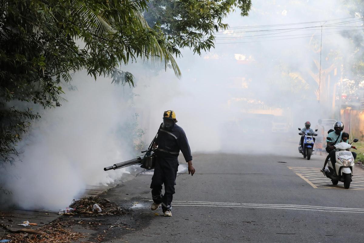 Il caso di Chikungunya a San Fruttuoso era un falso allarme. Annullata la disinfestazione