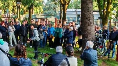 "La ciclabile sacrifica gli alberi". Comitato lancia la raccolta di firme "La ciclabile sacrifica gli alberi". Comitato lancia la raccolta di firme