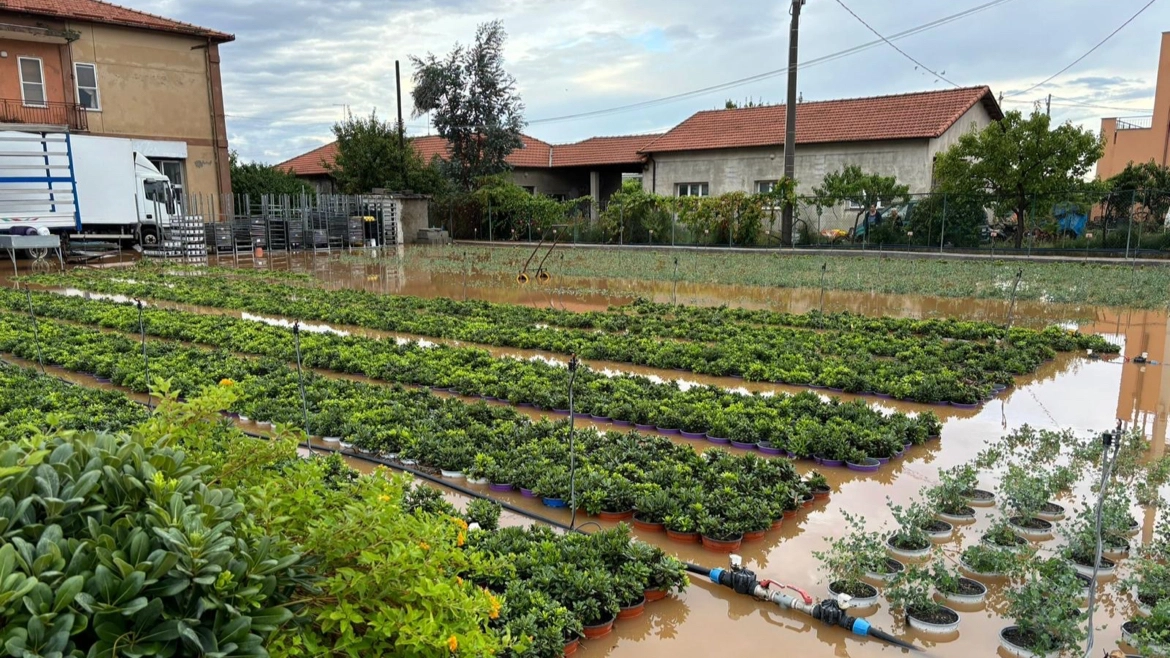 Un campo allagato durante i giorni di maltempo prolungato a ottobre. L’anomalia precipitativa lo rende tra i mesi più piovosi del 2024 Un campo allagato durante i giorni di maltempo prolungato a ottobre. L’anomalia precipitativa lo rende tra i mesi più piovosi del 2024