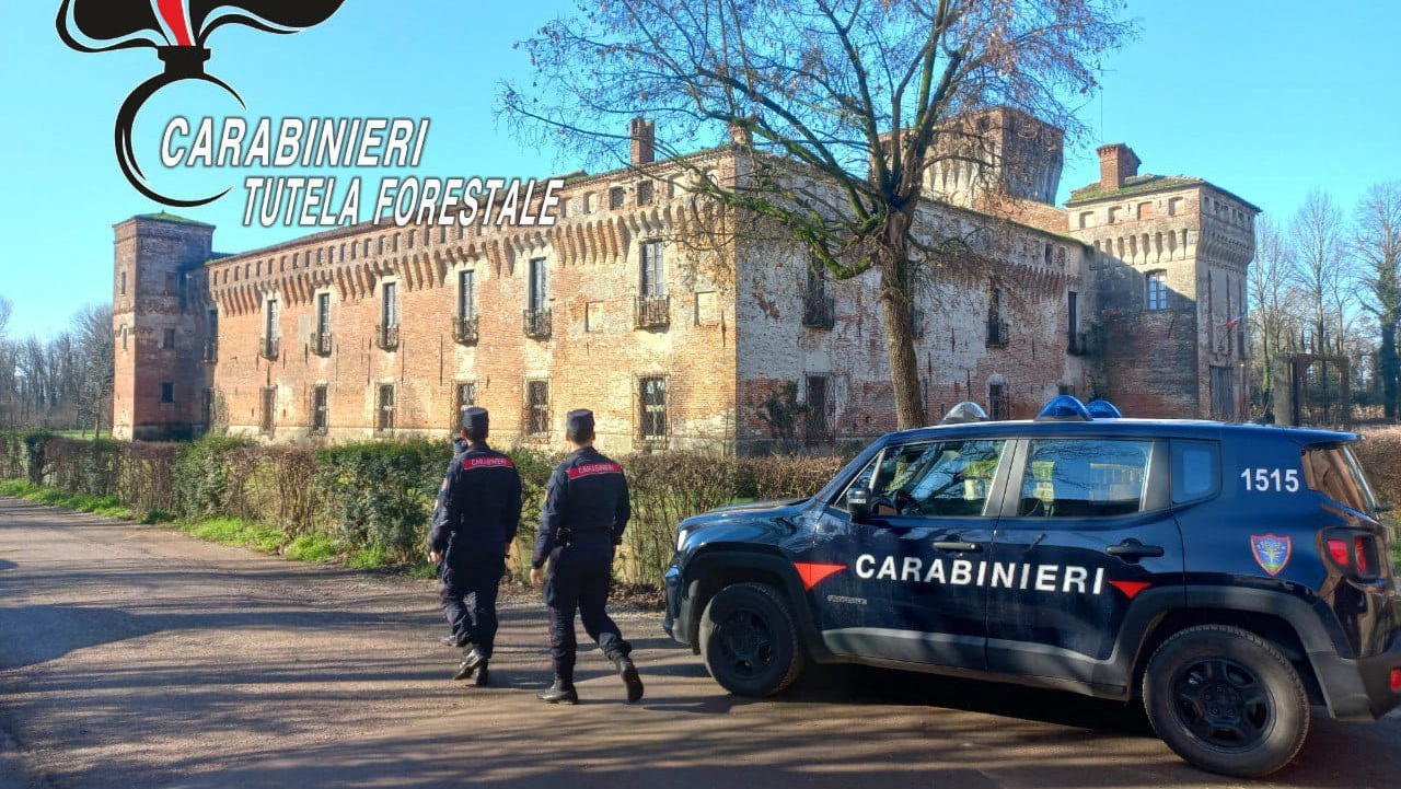 padernello padernello