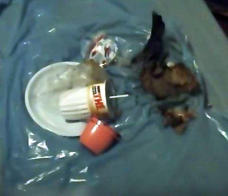 Il destino di Sempio nelle mani dei periti: le risposte ai sospetti nei test su Estathé, tre rifiuti, cucchiaino e tappetino del bagno Il destino di Sempio nelle mani dei periti: le risposte ai sospetti nei test su Estathé, tre rifiuti, cucchiaino e tappetino del bagno