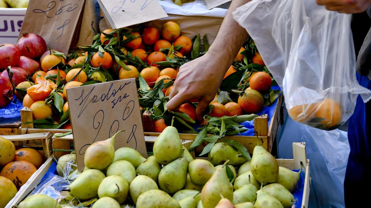 Istat, in un mese +0,2%. Pesano tensioni sugli alimentari Istat, in un mese +0,2%. Pesano tensioni sugli alimentari