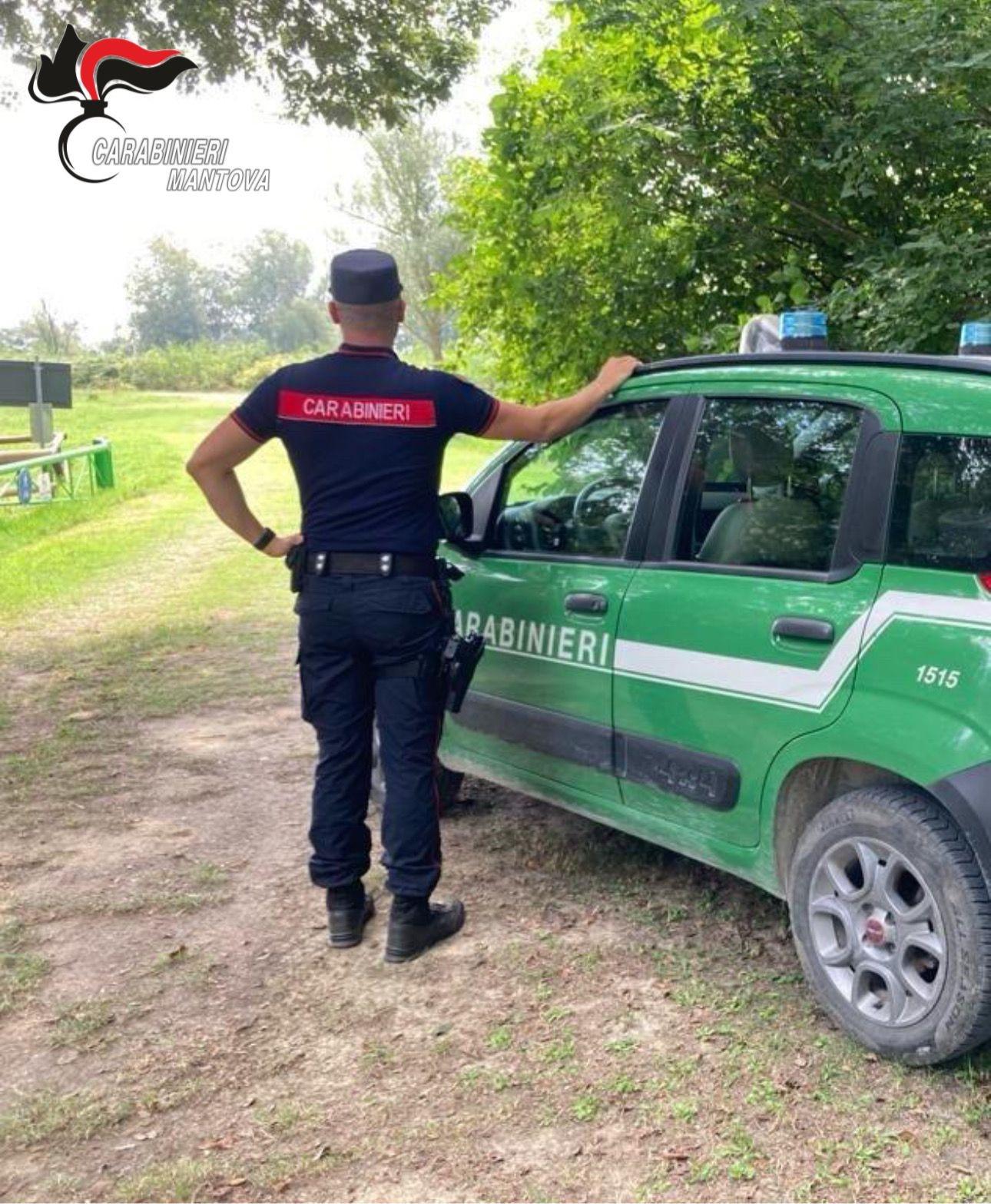 Abbandona l’auto in un terreno: multa salata per un 52enne Abbandona l’auto in un terreno: multa salata per un 52enne
