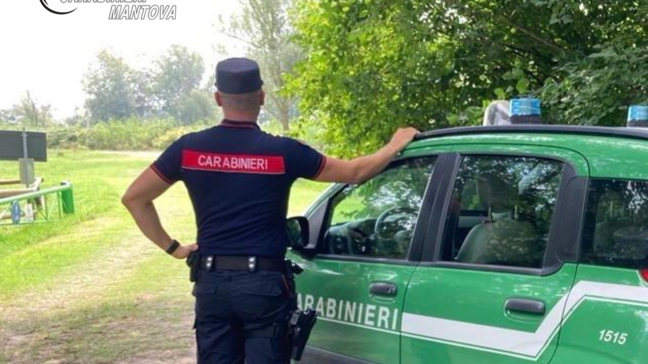 Carabinieri Forestali Carabinieri Forestali