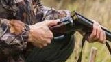 Due aquile reali morte per intossicazione da piombo in meno di un anno nel Bresciano, nel Parco dell’Adamello e... Due aquile reali morte per intossicazione da piombo in meno di un anno nel Bresciano, nel Parco dell’Adamello e...