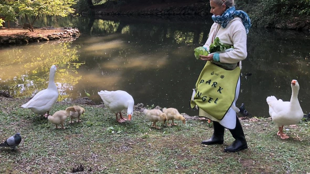 I Park Angels hanno frequentato un percorso formativo su come attivare le procedure di primo soccorso nel caso di animali feriti I Park Angels hanno frequentato un percorso formativo su come attivare le procedure di primo soccorso nel caso di animali feriti