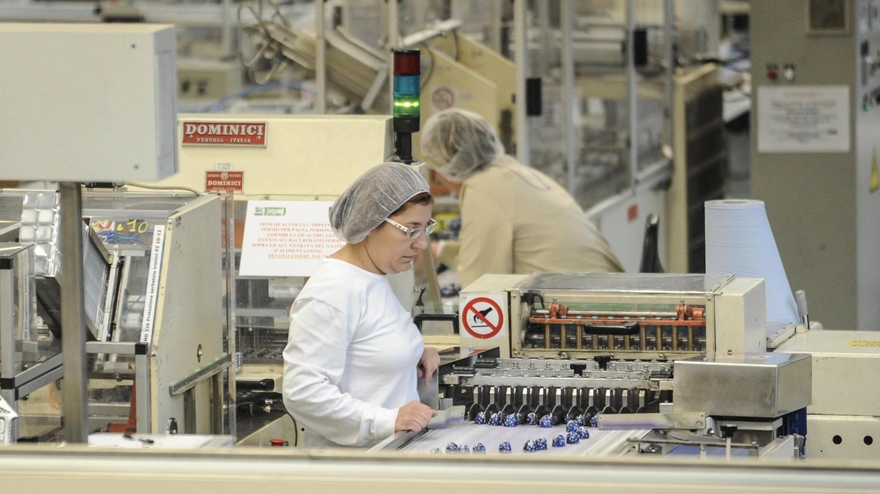 Le operaie si collocano tra le lavoratrici spesso tagliate fuori dalla formazione che genera competenze performanti Le operaie si collocano tra le lavoratrici spesso tagliate fuori dalla formazione che genera competenze performanti