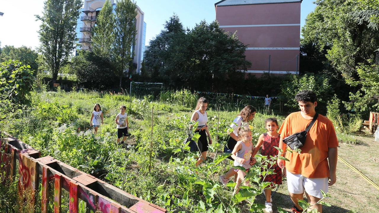 A Monza, la comunità si impegna a mantenere vivi gli orti urbani come punti di contatto con la natura, promuovendo la coltivazione e l'integrazione sociale attraverso visite guidate e laboratori con scuole e associazioni locali. A Monza, la comunità si impegna a mantenere vivi gli orti urbani come punti di contatto con la natura, promuovendo la coltivazione e l'integrazione sociale attraverso visite guidate e laboratori con scuole e associazioni locali.