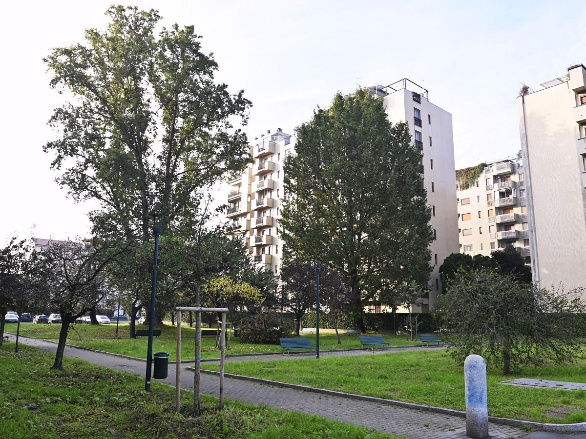 Gallaratese, al via il piano di riqualificazione ‘Natta nord’: più aree verdi, un edificio e una pista ciclabile Gallaratese, al via il piano di riqualificazione ‘Natta nord’: più aree verdi, un edificio e una pista ciclabile