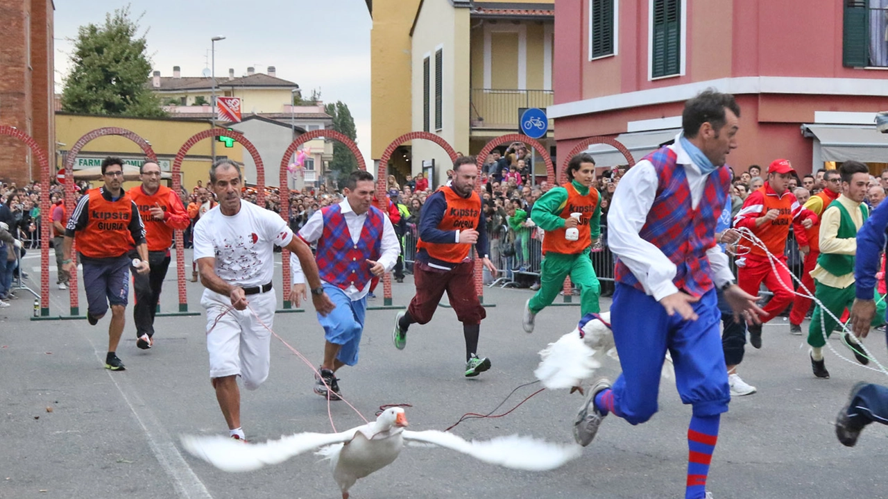 La corsa delle oche a Lacchiarella La corsa delle oche a Lacchiarella