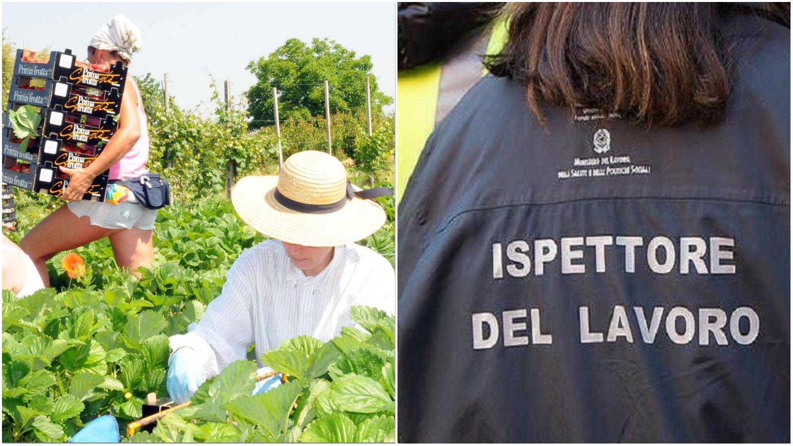 Ordinanza anti caldo: ora c’è la firma. Cosa succede a chi non la rispetta? Ordinanza anti caldo: ora c’è la firma. Cosa succede a chi non la rispetta?