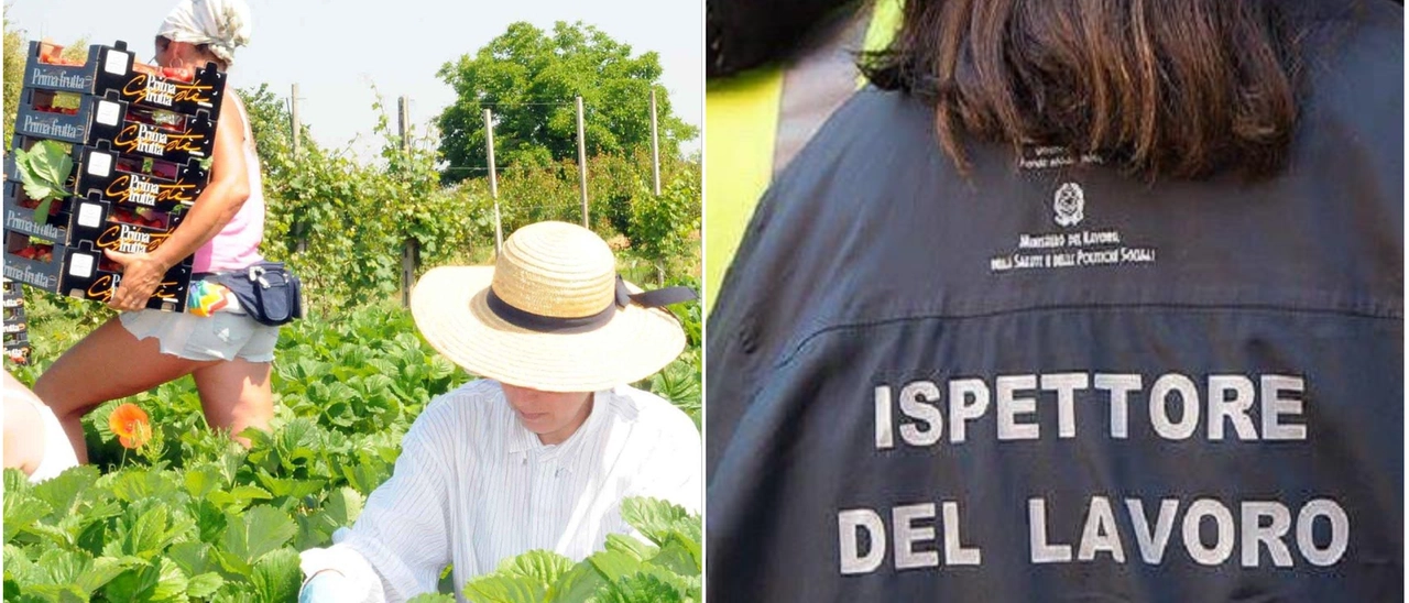 Ordinanza anti-caldo: ora c’è la firma. Cosa succede a chi non la rispetta?