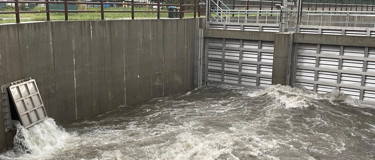 Temporali su Milano: strade allagate e rami caduti. Sale il Seveso e la vasca entra in funzione