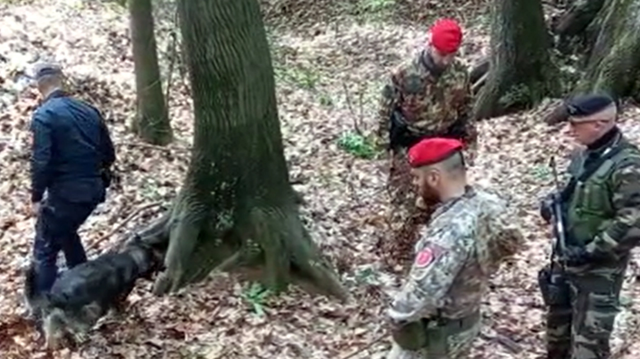 Un'operazione dei carabinieri nei boschi dello spaccio, ormai diffusi in tutto il Comasco, Varesotto e in Brianza Un'operazione dei carabinieri nei boschi dello spaccio, ormai diffusi in tutto il Comasco, Varesotto e in Brianza