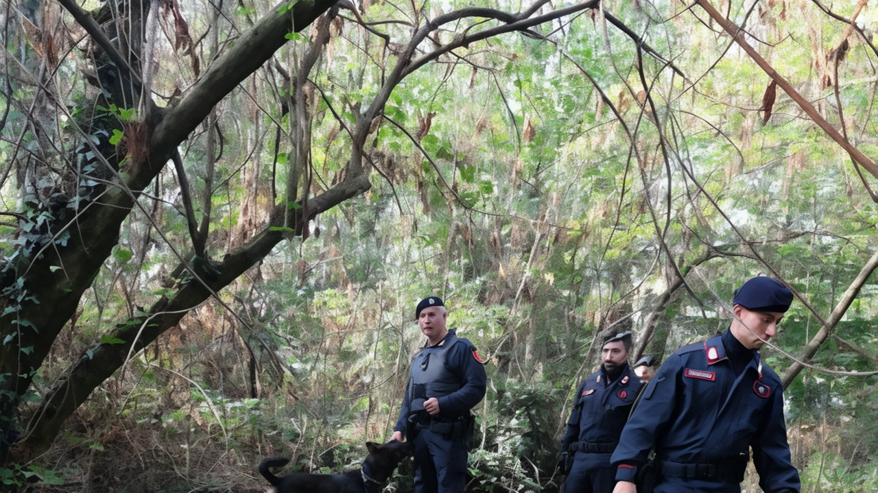 A Cogliate cresce il problema dello spaccio e dei furti, l'opposizione chiede spiegazioni alla Giunta e propone interventi di prevenzione. Il Consiglio comunale discute delle misure adottate e della necessità di affrontare il fenomeno in modo completo. A Cogliate cresce il problema dello spaccio e dei furti, l'opposizione chiede spiegazioni alla Giunta e propone interventi di prevenzione. Il Consiglio comunale discute delle misure adottate e della necessità di affrontare il fenomeno in modo completo.