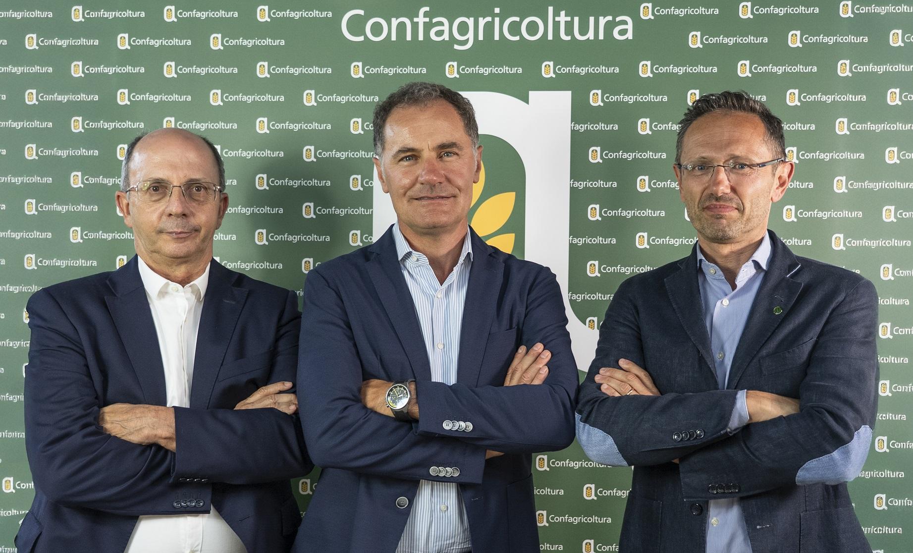Le sfide di Confagricoltura: "Più infrastrutture e sostegni" Le sfide di Confagricoltura: "Più infrastrutture e sostegni"