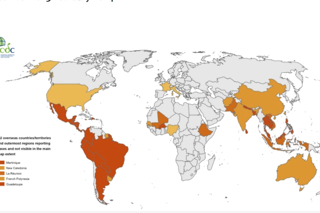 La mappa della diffusione della Dengue tratta dal sito dell'Ecdc
