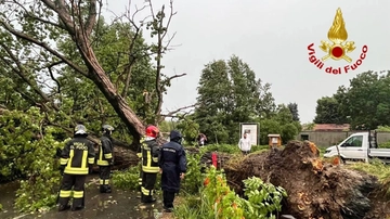 Temporale e raffiche di vento nel Lodigiano: crollano alberi e ponteggi