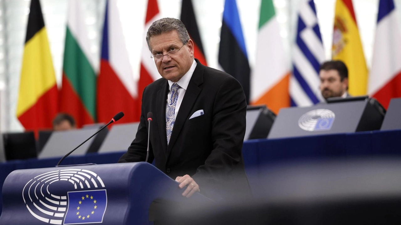 'Nel pomeriggio la Commissione informerà i Paesi membri' 'Nel pomeriggio la Commissione informerà i Paesi membri'
