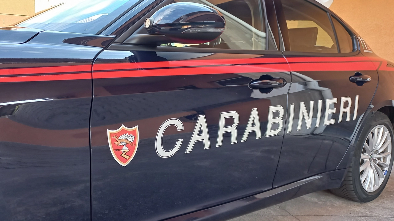 I carabinieri hanno effettuato l'arresto I carabinieri hanno effettuato l'arresto