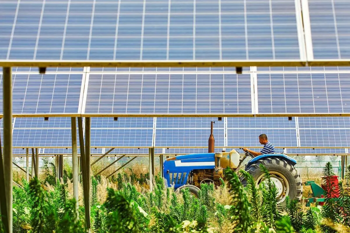 Mulazzano, l’impianto agrivoltaico avanza (e pure le proteste)
