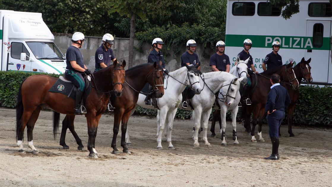 Nei parchi di Milano tornano i ghisa a cavallo: le prime pattuglie entrano in servizio a giugno Nei parchi di Milano tornano i ghisa a cavallo: le prime pattuglie entrano in servizio a giugno