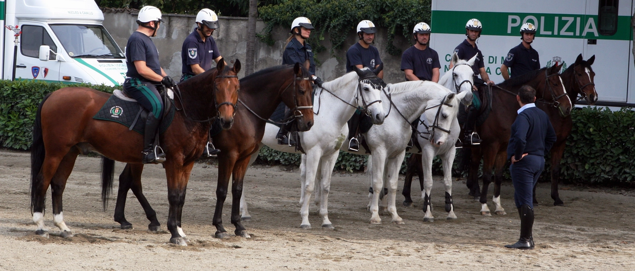 Nei parchi di Milano tornano i ghisa a cavallo: le prime pattuglie entrano in servizio a giugno
